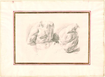 Piazzetta - Two Sudies of a Male Torso, 1961.1251. Free illustration for personal and commercial use.