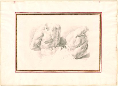 Piazzetta - Two Sudies of a Male Torso, 1961.1251