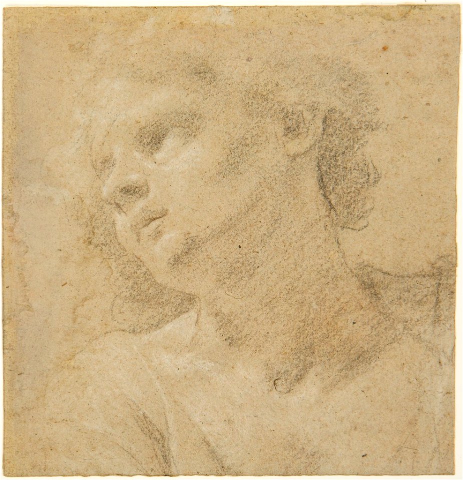 Piazzetta - Study of a Woman's Head, 1955.143