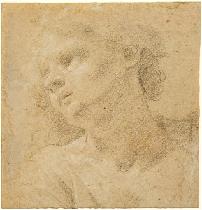 Piazzetta - Study of a Woman's Head, 1955.143