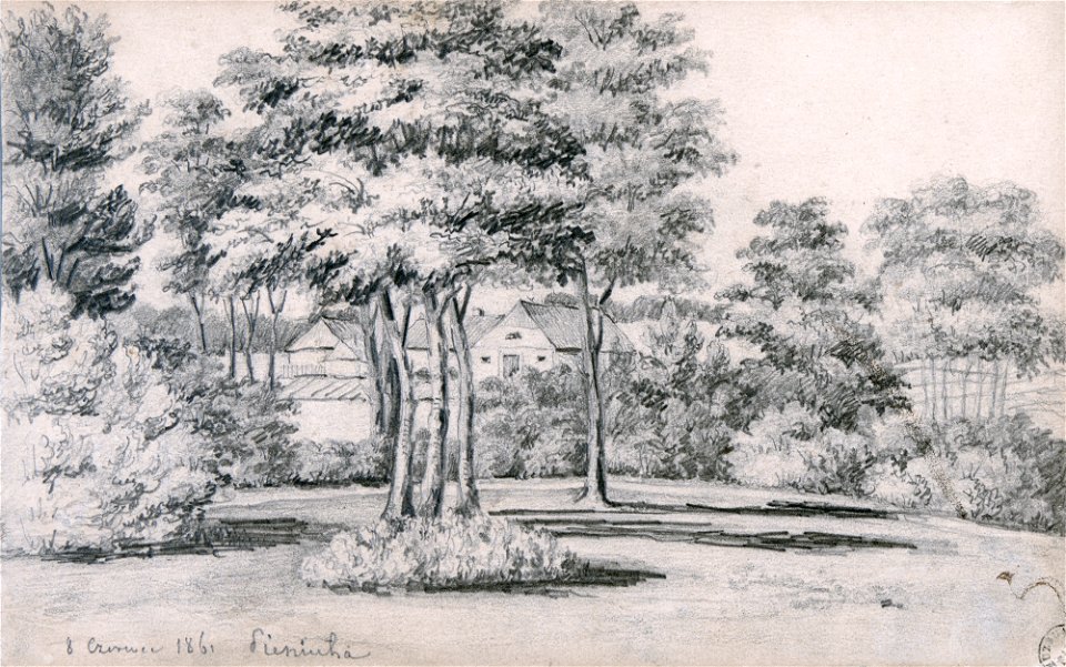 Pianiuha, Radzievič. Пянюга, Радзевіч (N. Orda, 8.06.1861)
