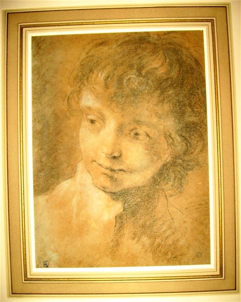Piazzetta - Head of a Youth, 1967.312