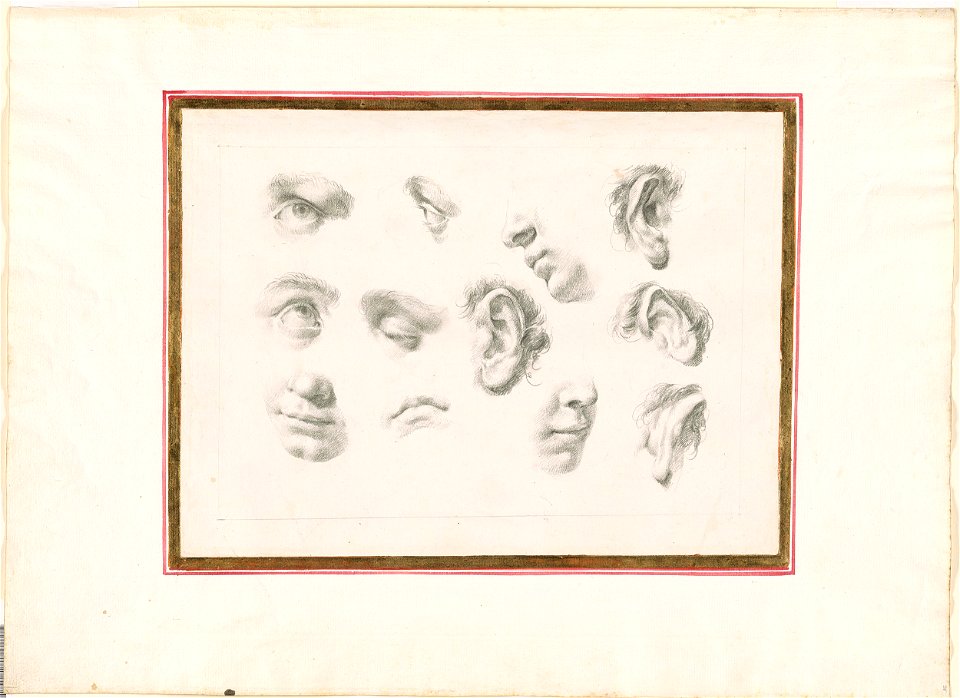 Piazzetta - Study of Eyes, Ears, Noses and Mouths, 1961.1238