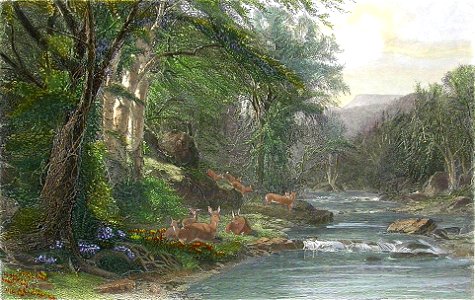 Picturesque America56a