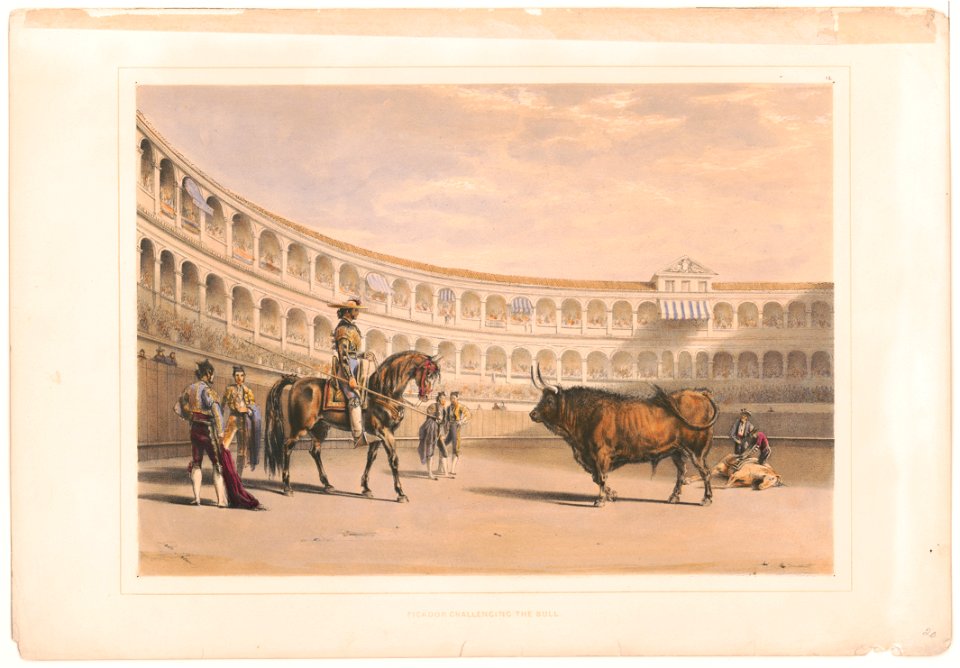 Picador challenging the bull LCCN2003677502