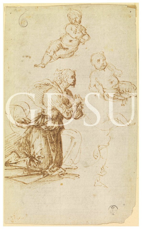 Piero di Cosimo - inv 213 E r
