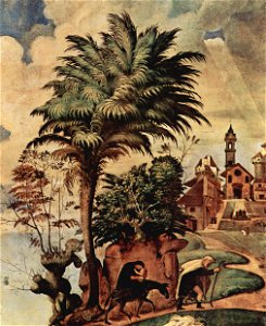 Piero di Cosimo 054. Free illustration for personal and commercial use.