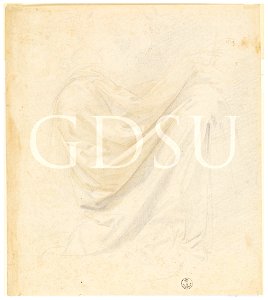 Piero di Cosimo - inv 6369 F r
