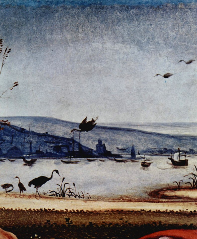 Piero di Cosimo 014