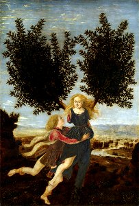 Pollaiolo, Piero del - Apollo and Daphne. Free illustration for personal and commercial use.