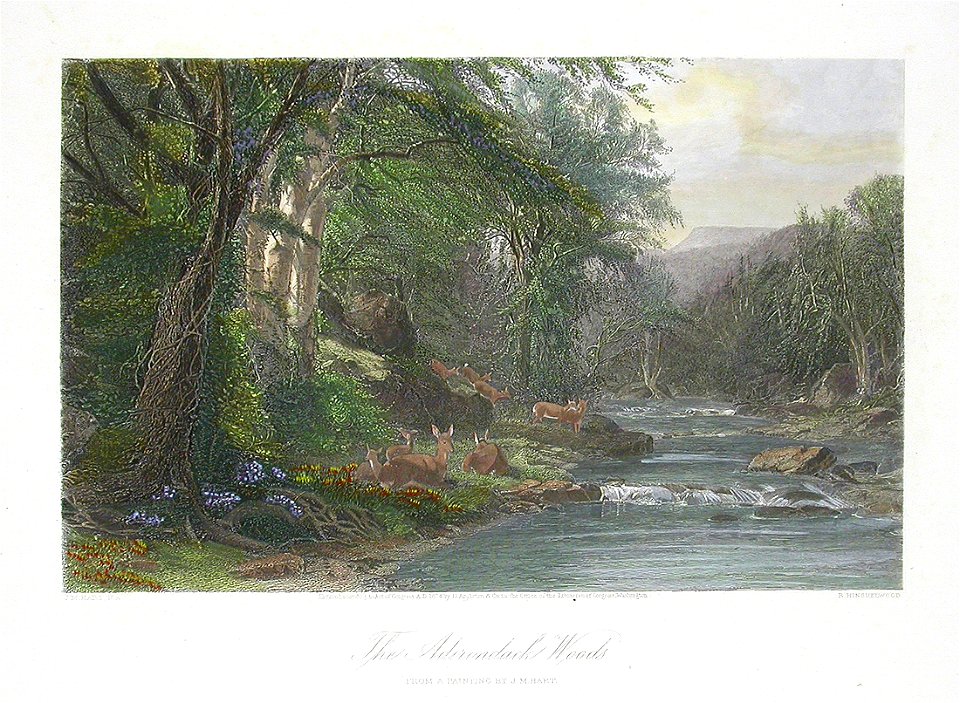 Picturesque America56