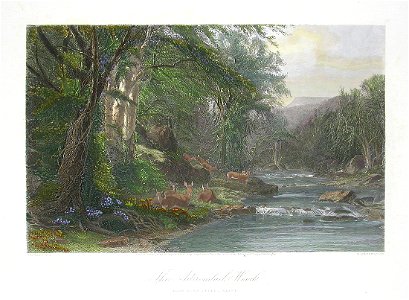 Picturesque America56