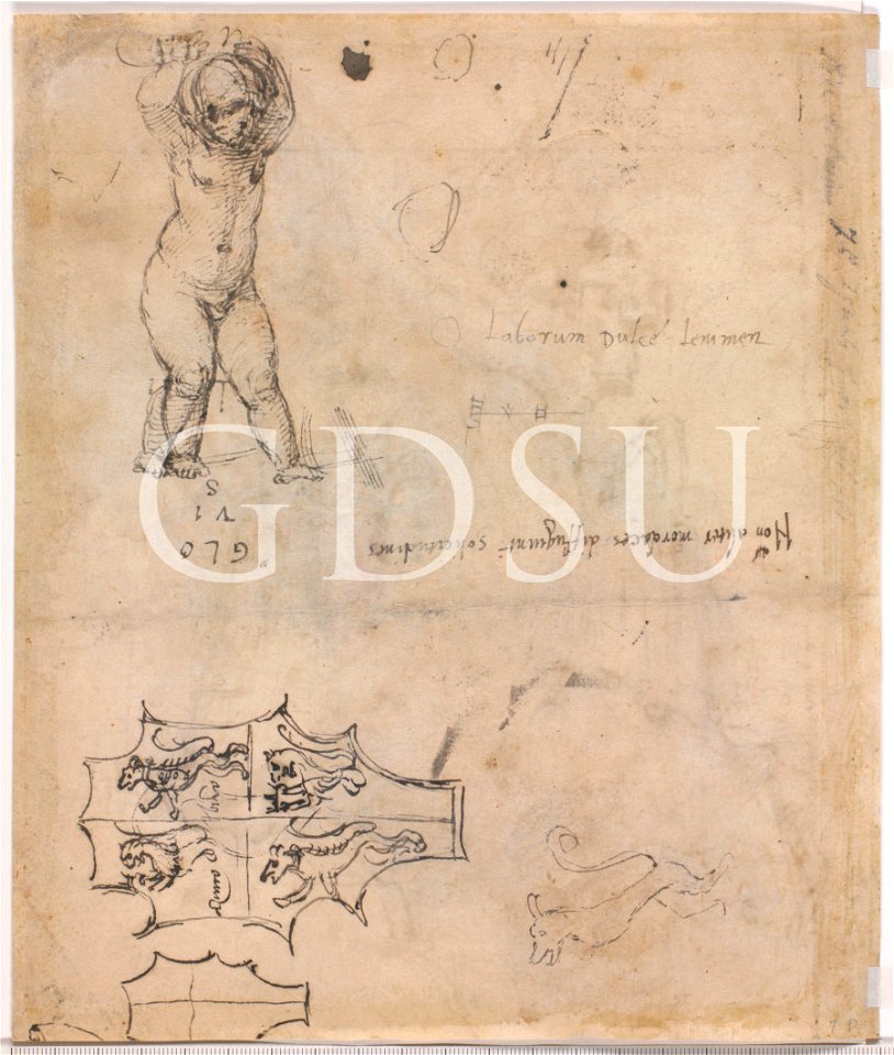 Piero di Cosimo - inv 7 P v