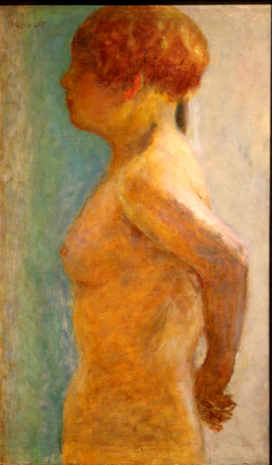 Pierre Bonnard - torse de femme