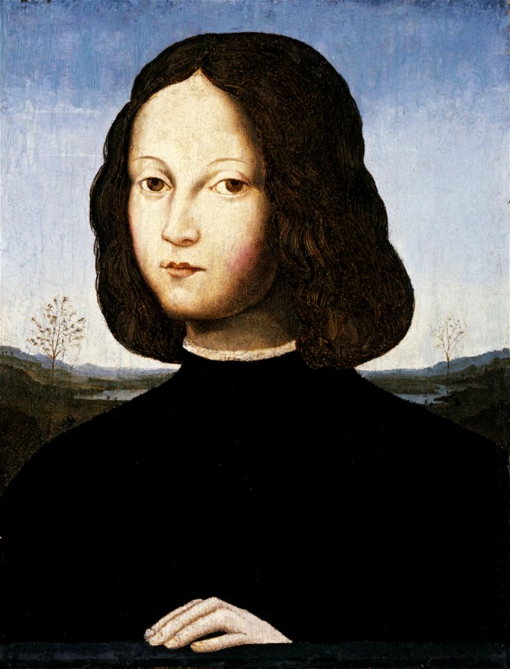 Piero di Cosimo (atribuição) - Retrato de menino. Free illustration for personal and commercial use.