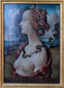 Piero di Cosimo - Simonetta Vespucci