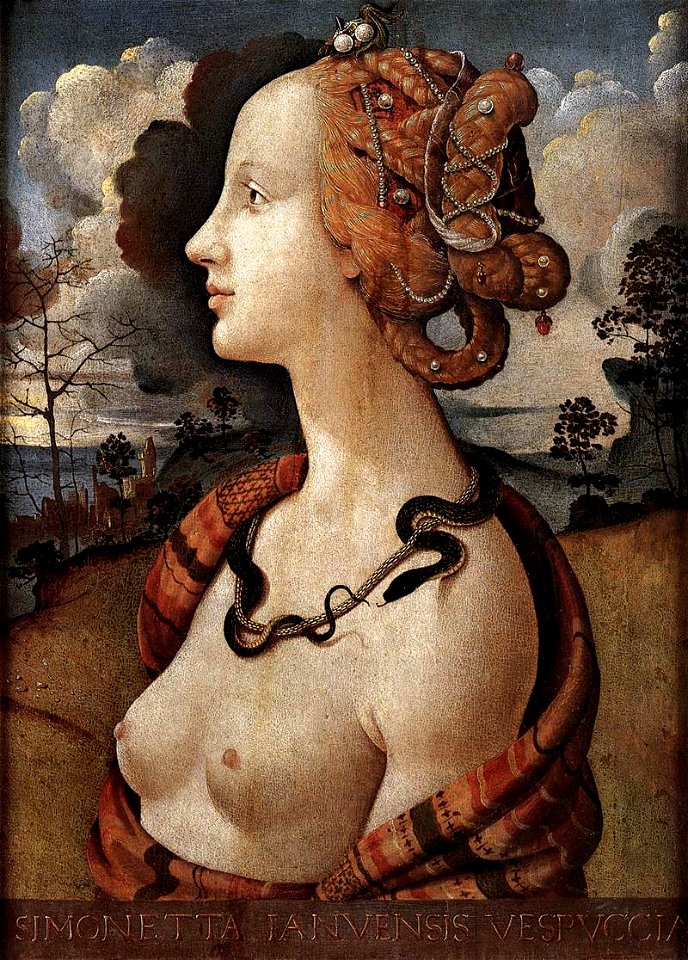 Piero di Cosimo - Portrait of Simonetta Vespucci - WGA17670