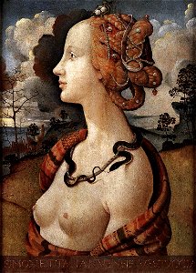 Piero di Cosimo - Portrait of Simonetta Vespucci - WGA17670