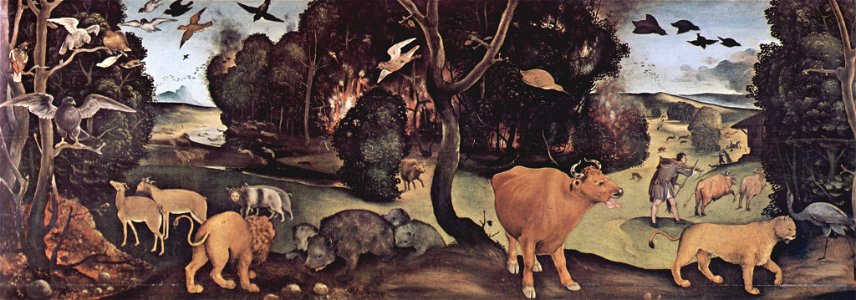 Piero di Cosimo 012