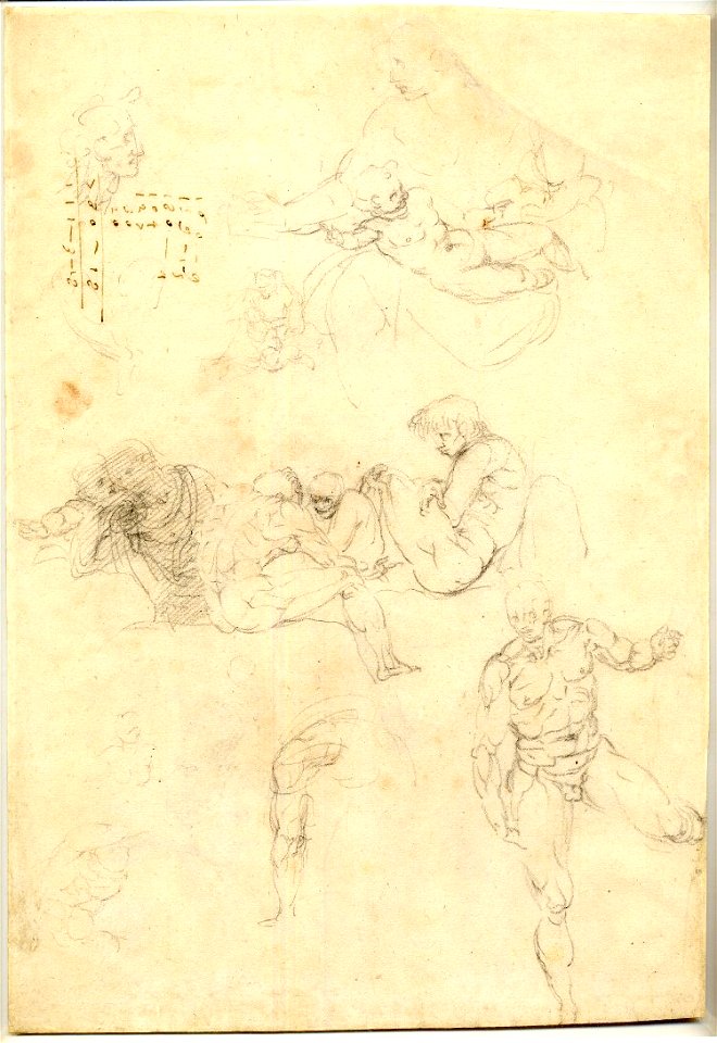 Pierino da Vinci - Studies of nude male figures and of a Virgin and Child. c.1540, 1859,0625.565