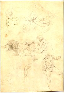 Pierino da Vinci - Studies of nude male figures and of a Virgin and Child. c.1540, 1859,0625.565. Free illustration for personal and commercial use.