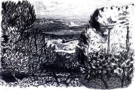Pierre Bonnard Last Light
