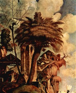 Piero di Cosimo 053