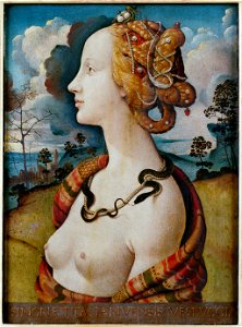 Piero di Cosimo - Portrait de femme dit de Simonetta Vespucci - Google Art ProjectFXD