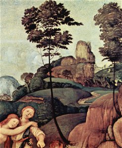 Piero di Cosimo 021