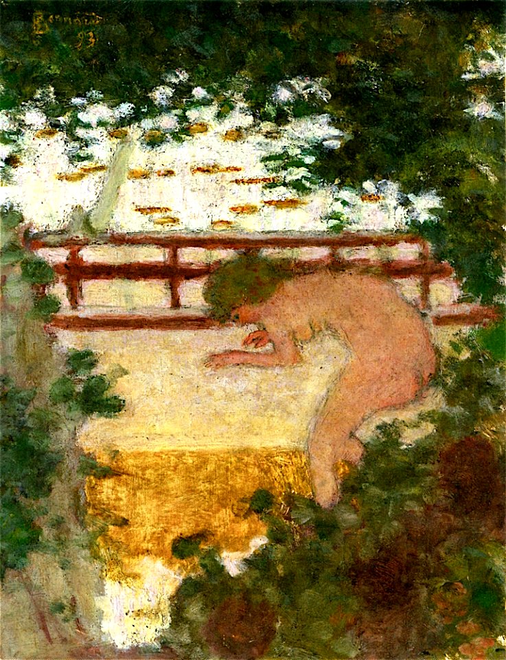 Pierre Bonnard Bather
