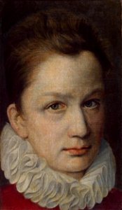 Pierre Dumonstier - Portrait of a Young Man - WGA6864