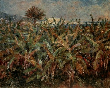 Pierre-Auguste Renoir - Champ de bananiers
