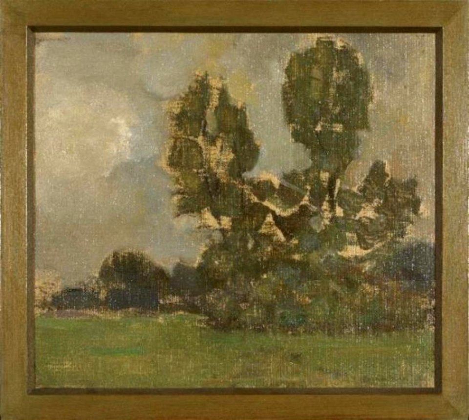 Piet Mondriaan - Field with two tree silhouettes II - 0334229 - Kunstmuseum Den Haag