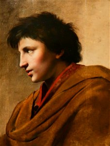 Pierre-Maurice Quays - Tête d'étude