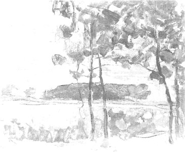 Piet Mondriaan - Field with young trees in the foreground - A584 - Piet Mondrian, catalogue raisonné