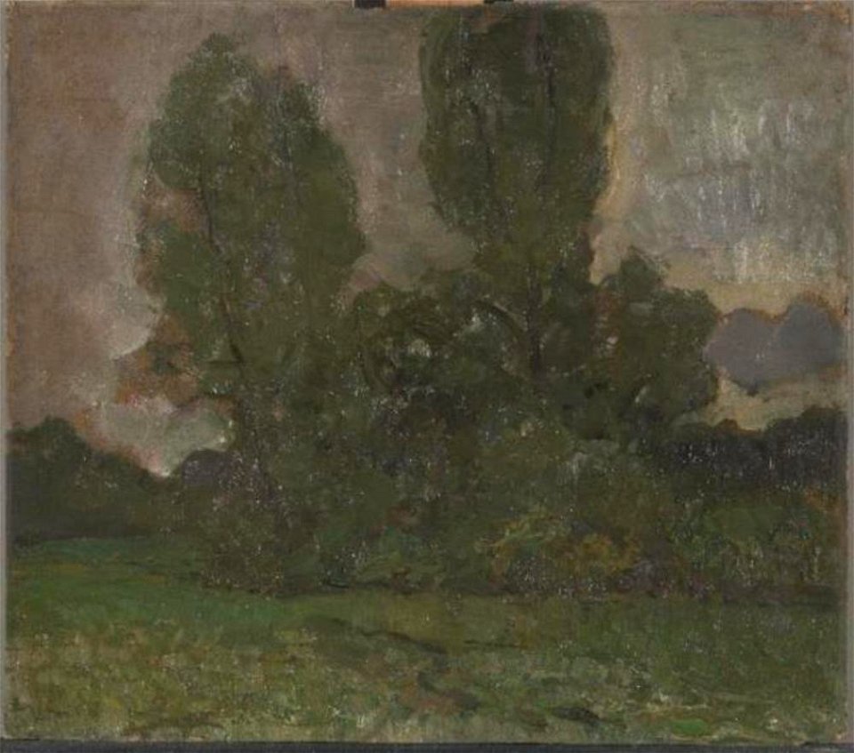 Piet Mondriaan - Field with two tree silhouettes I - 0334278 - Kunstmuseum Den Haag
