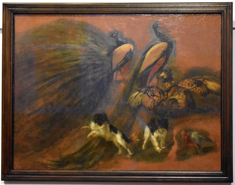 Pieter Boel - Paons, chiens et oiseaux