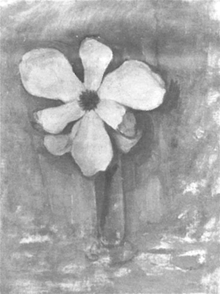 Piet Mondriaan - Magnolia - A594 - Piet Mondrian, catalogue raisonné