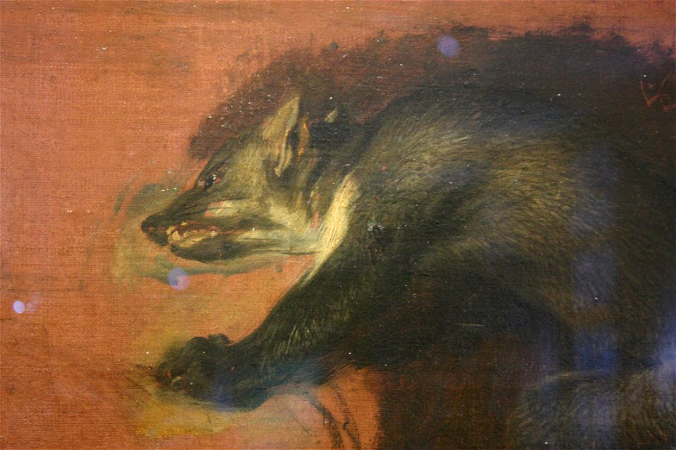Pieter Boel - Furets 02