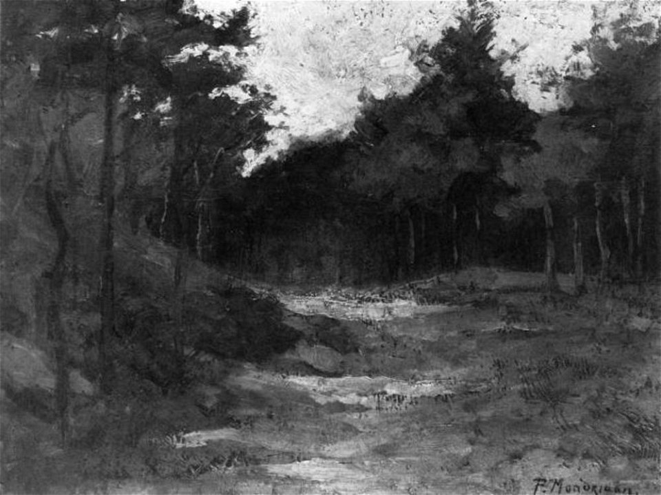 Piet Mondriaan - Wood near Driebergen - A48 - Piet Mondrian, catalogue raisonné