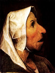 Pieter Bruegel the Elder - Portrait of an Old Woman - WGA3525