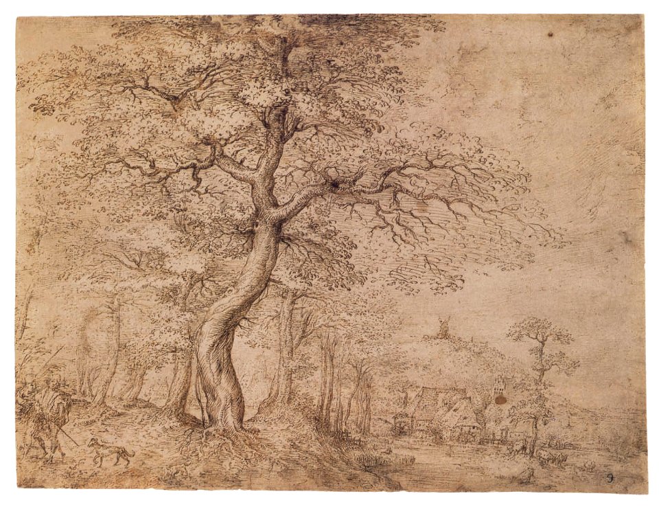 Pieter Bruegel the Elder - 1552 - Wooded Landscape with Mills