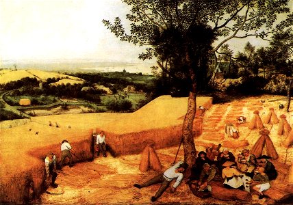 Pieter Bruegel the Elder - The Corn Harvest (August) - WGA03451