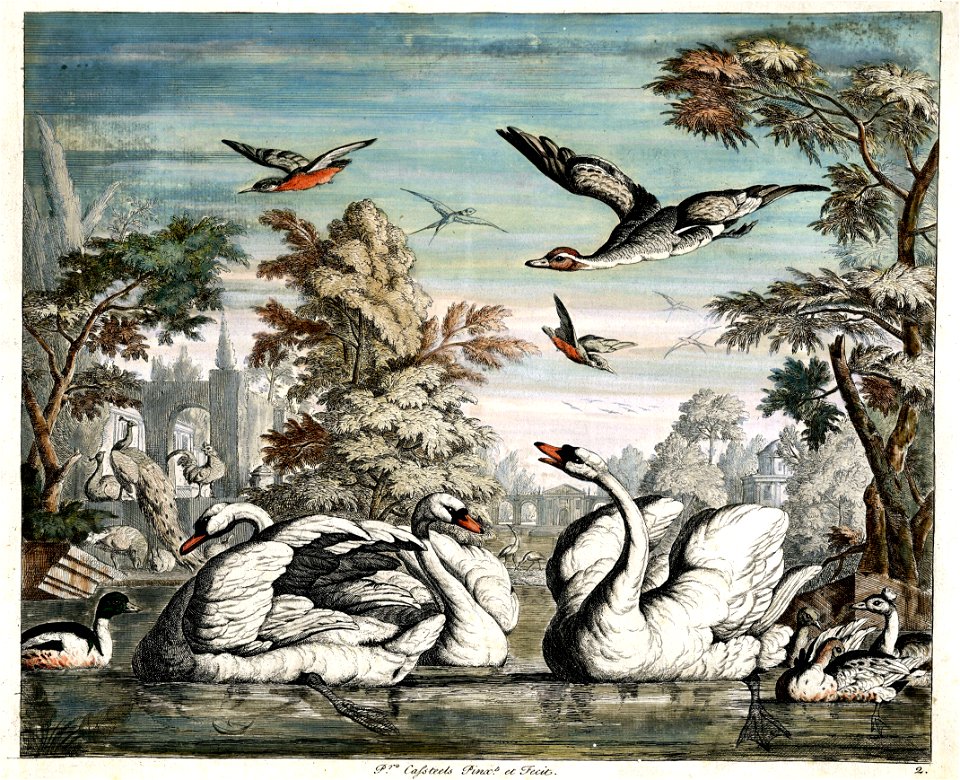 Pieter Casteels III - Set of 12 Bird Scenes - Plate 2