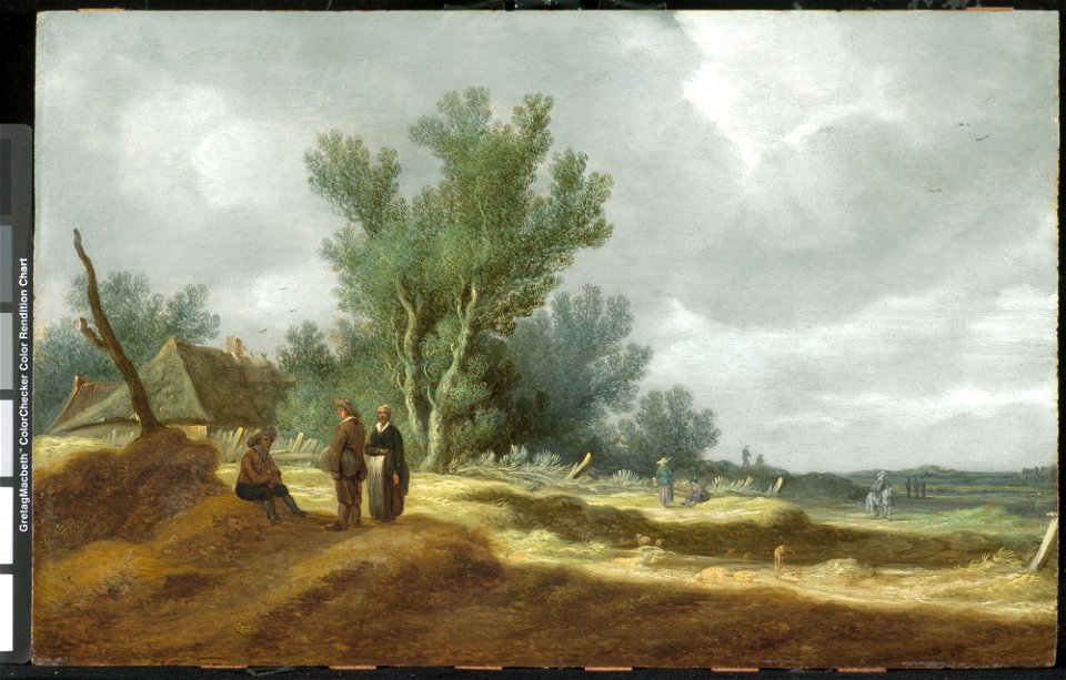 Pieter de Neyn - Dune Landscape - 52.31 - Detroit Institute of Arts