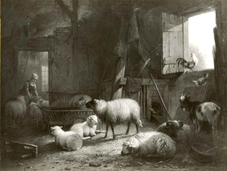 Pieter Plas - Schapen en bok in stal - 0642 - Rijksmuseum Twenthe