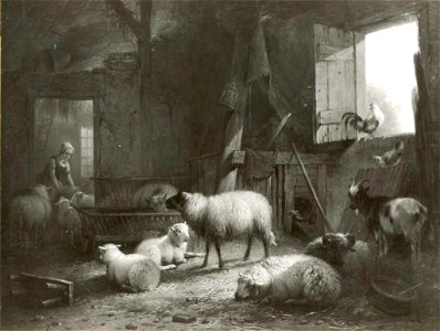 Pieter Plas - Schapen en bok in stal - 0642 - Rijksmuseum Twenthe