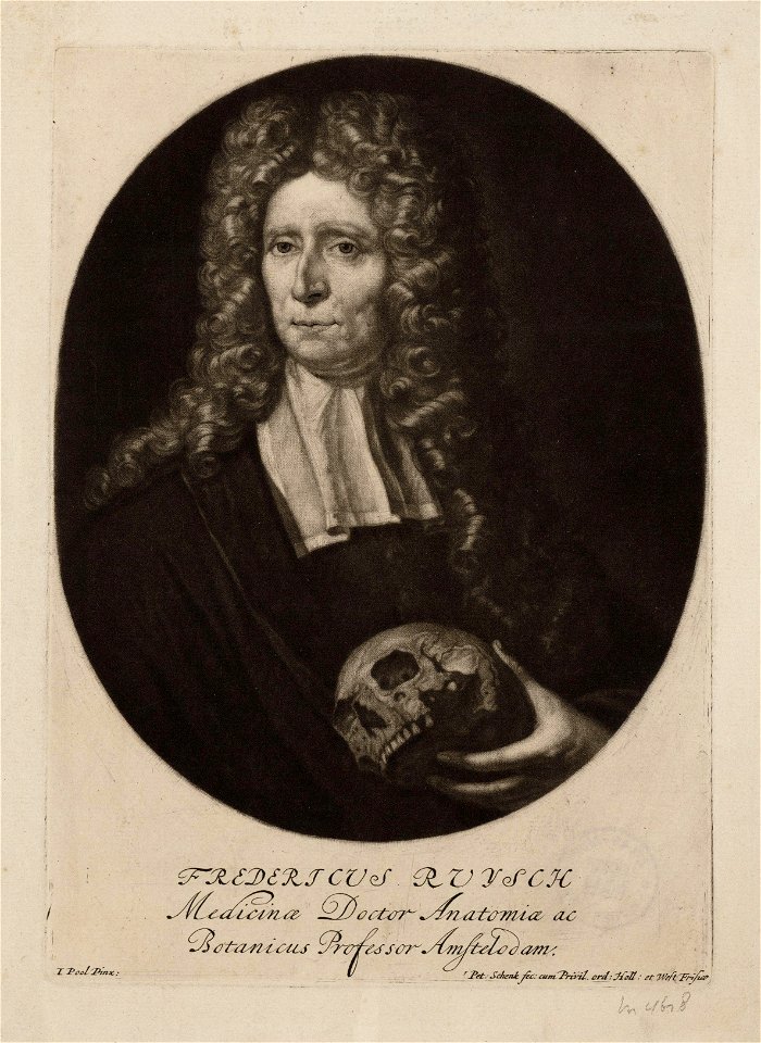 Pieter Schenk, Afb 010097009063
