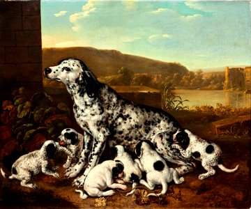 Pieter van der Hulst - Dalmatian dog with puppies 0030NMK