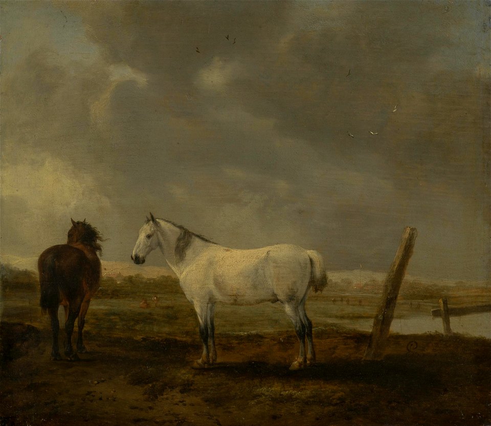 Pieter Wouwerman - Twee paarden op een weide - ГЭ-2684 - Hermitage Museum